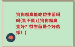 狗狗嘴臭能吃益生菌吗吗(能不能让狗狗嘴臭变好？益生菌是个好选择！)