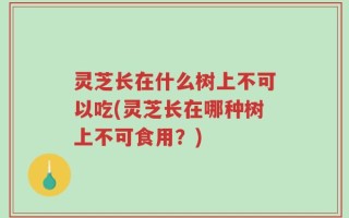 灵芝长在什么树上不可以吃(灵芝长在哪种树上不可食用？)