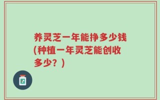 养灵芝一年能挣多少钱(种植一年灵芝能创收多少？)