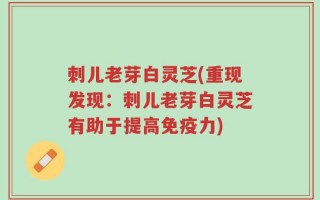 刺儿老芽白灵芝(重现发现：刺儿老芽白灵芝有助于提高免疫力)