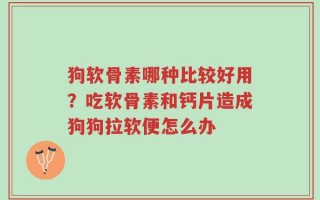 狗软骨素哪种比较好用？吃软骨素和钙片造成狗狗拉软便怎么办