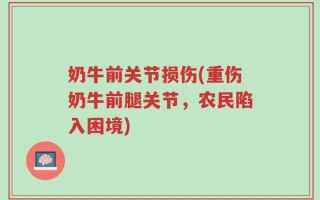 奶牛前关节损伤(重伤奶牛前腿关节，农民陷入困境)