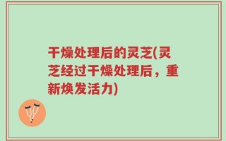 干燥处理后的灵芝(灵芝经过干燥处理后，重新焕发活力)