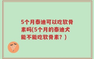 5个月泰迪可以吃软骨素吗(5个月的泰迪犬能不能吃软骨素？)