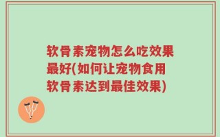 软骨素宠物怎么吃效果最好(如何让宠物食用软骨素达到最佳效果)