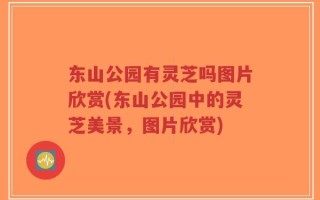东山公园有灵芝吗图片欣赏(东山公园中的灵芝美景，图片欣赏)
