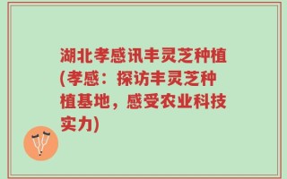 湖北孝感讯丰灵芝种植(孝感：探访丰灵芝种植基地，感受农业科技实力)