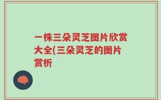 一株三朵灵芝图片欣赏大全(三朵灵芝的图片赏析