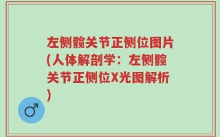 左侧髋关节正侧位图片(人体解剖学：左侧髋关节正侧位X光图解析)