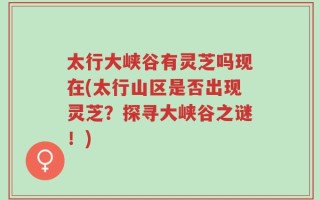 太行大峡谷有灵芝吗现在(太行山区是否出现灵芝？探寻大峡谷之谜！)