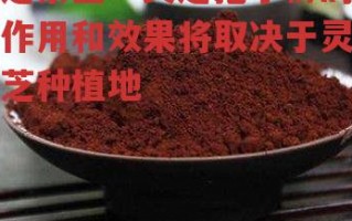 芝素堂：灵芝孢子粉的作用和效果将取决于灵芝种植地