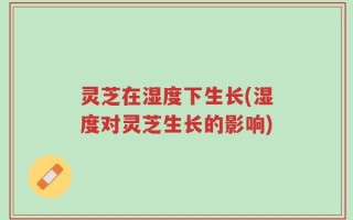 灵芝在湿度下生长(湿度对灵芝生长的影响)