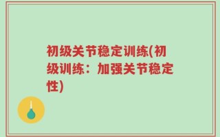 初级关节稳定训练(初级训练：加强关节稳定性)