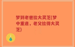 梦到老爸捡大灵芝(梦中重逢，老父捡得大灵芝)