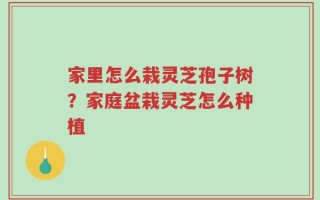 家里怎么栽灵芝孢子树？家庭盆栽灵芝怎么种植