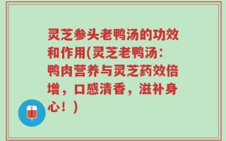 灵芝参头老鸭汤的功效和作用(灵芝老鸭汤：鸭肉营养与灵芝药效倍增，口感清香，滋补身心！)