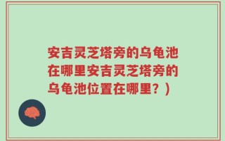 安吉灵芝塔旁的乌龟池在哪里安吉灵芝塔旁的乌龟池位置在哪里？)