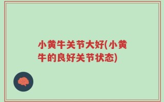 小黄牛关节大好(小黄牛的良好关节状态)