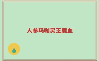 人参玛咖灵芝鹿血