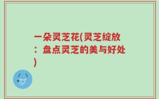 一朵灵芝花(灵芝绽放：盘点灵芝的美与好处)
