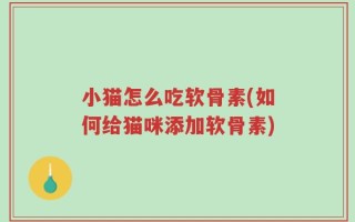 小猫怎么吃软骨素(如何给猫咪添加软骨素)