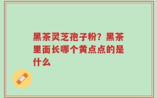 黑茶灵芝孢子粉？黑茶里面长哪个黄点点的是什么