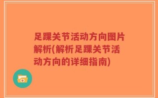足踝关节活动方向图片解析(解析足踝关节活动方向的详细指南)