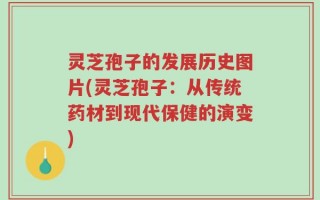 灵芝孢子的发展历史图片(灵芝孢子：从传统药材到现代保健的演变)