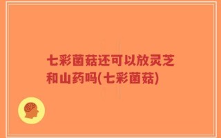 七彩菌菇还可以放灵芝和山药吗(七彩菌菇)