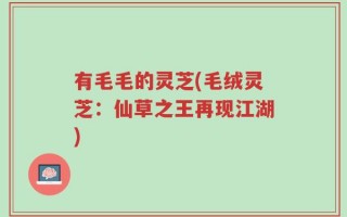 有毛毛的灵芝(毛绒灵芝：仙草之王再现江湖)