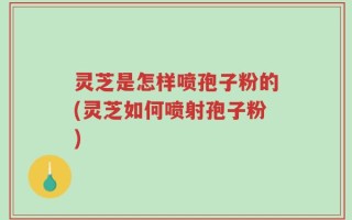 灵芝是怎样喷孢子粉的(灵芝如何喷射孢子粉)
