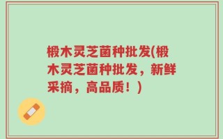 椴木灵芝菌种批发(椴木灵芝菌种批发，新鲜采摘，高品质！)
