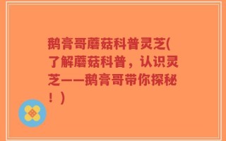 鹅膏哥蘑菇科普灵芝(了解蘑菇科普，认识灵芝——鹅膏哥带你探秘！)
