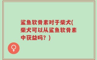 鲨鱼软骨素对于柴犬(柴犬可以从鲨鱼软骨素中获益吗？)