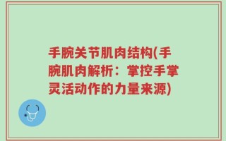 手腕关节肌肉结构(手腕肌肉解析：掌控手掌灵活动作的力量来源)