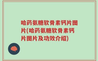 哈药氨糖软骨素钙片图片(哈药氨糖软骨素钙片图片及功效介绍)