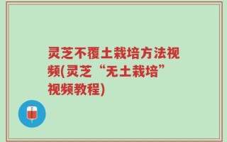 灵芝不覆土栽培方法视频(灵芝“无土栽培”视频教程)