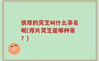 很厚的灵芝叫什么茶名呢(厚片灵芝是哪种茶？)