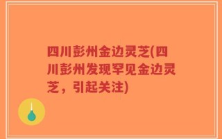 四川彭州金边灵芝(四川彭州发现罕见金边灵芝，引起关注)