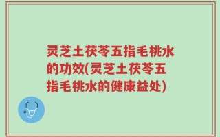 灵芝土茯苓五指毛桃水的功效(灵芝土茯苓五指毛桃水的健康益处)