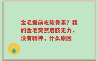 金毛提前吃软骨素？我的金毛突然后肢无力，没有精神，什么原因