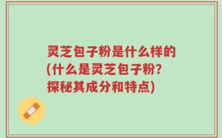 灵芝包子粉是什么样的(什么是灵芝包子粉？探秘其成分和特点)