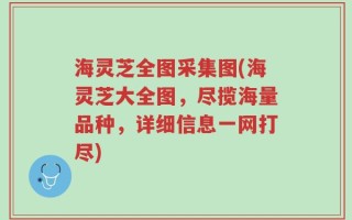 海灵芝全图采集图(海灵芝大全图，尽揽海量品种，详细信息一网打尽)