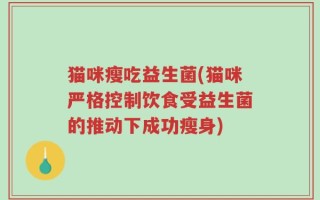 猫咪瘦吃益生菌(猫咪严格控制饮食受益生菌的推动下成功瘦身)