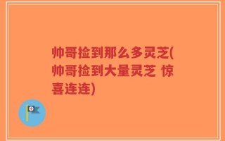 帅哥捡到那么多灵芝(帅哥捡到大量灵芝 惊喜连连)
