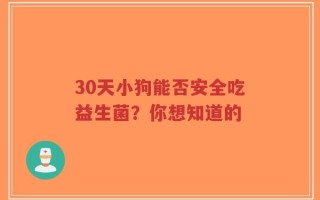 30天小狗能否安全吃益生菌？你想知道的