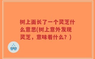 树上面长了一个灵芝什么意思(树上意外发现灵芝，意味着什么？)