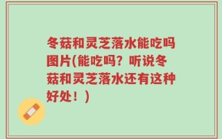 冬菇和灵芝落水能吃吗图片(能吃吗？听说冬菇和灵芝落水还有这种好处！)