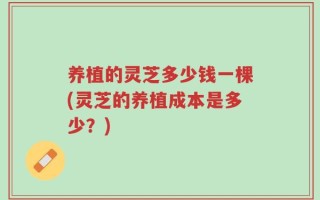 养植的灵芝多少钱一棵(灵芝的养植成本是多少？)