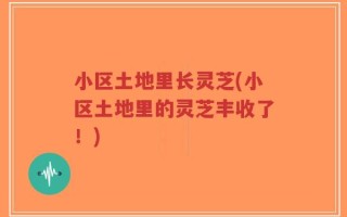 小区土地里长灵芝(小区土地里的灵芝丰收了！)
